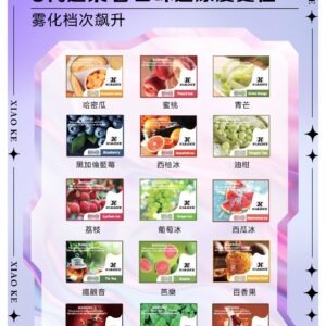 XIAOKE 可替換式電子煙 (適配 RELX6代) (實用款)